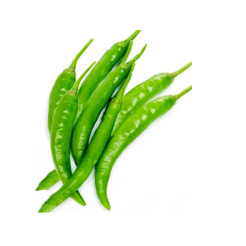 Fresh - Long Chilli