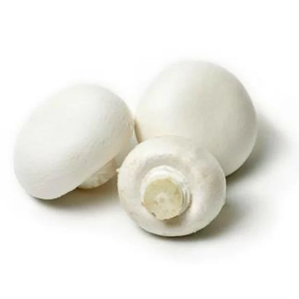 Fresh - Mushroom