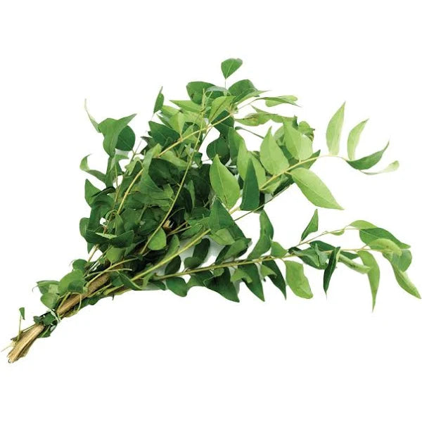 Fresh - Watermelon - Seedless- Large