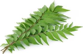 Fresh - Curry leaves - 1Ct