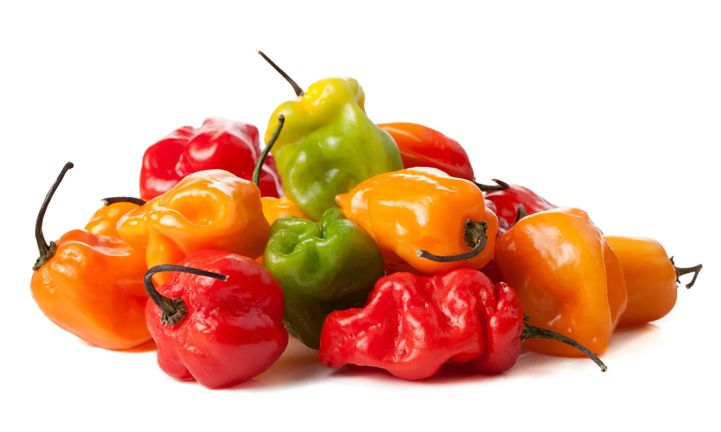 Fresh - Hot Jamaican/Habanero Peppers