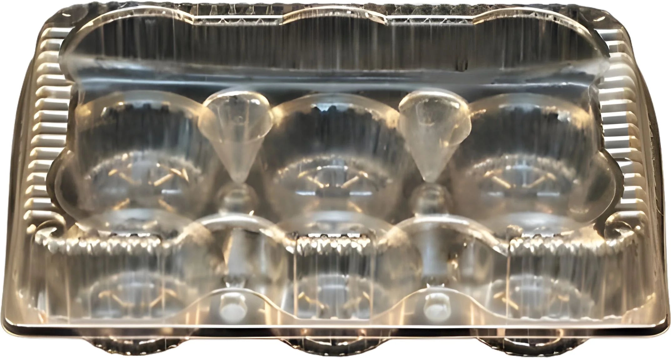 Vespa - 6 Muffin Container - V054