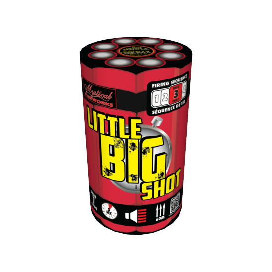Little Big Shot