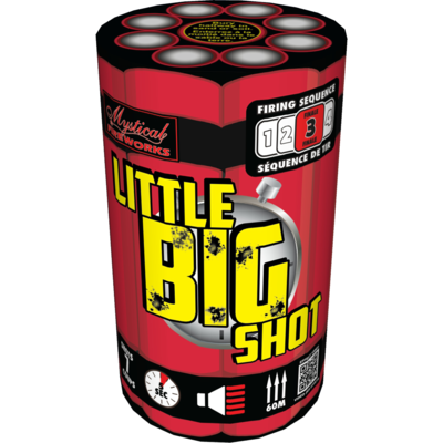 Little Big Shot