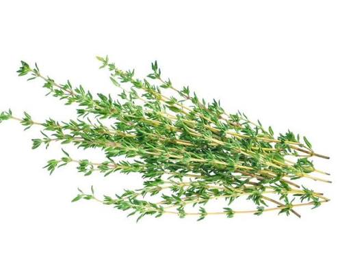 Fresh - Thyme