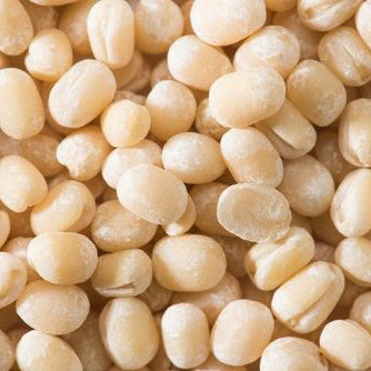 SF - Urad Whole - 4Lb