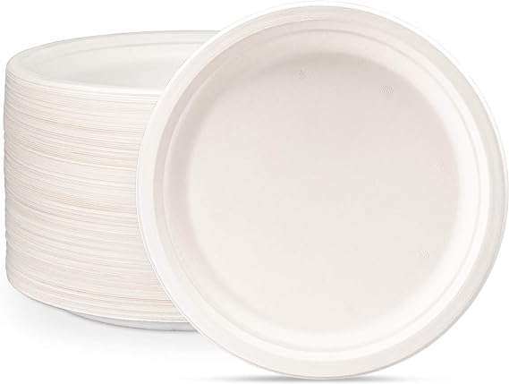 Tenclouds/PPP - 10" Bagasse Paper Plate