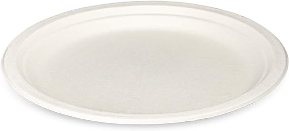 Tenclouds/PPP - 10" Bagasse Paper Plate