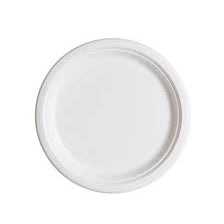 PPP - 9" Bagasse Paper Plate