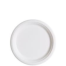 PPP - 9" Bagasse Paper Plate
