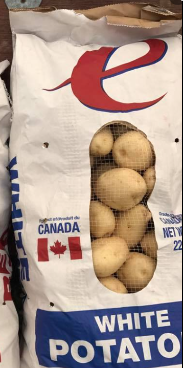 Fresh - White Potato - Large