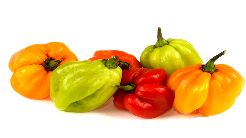 Fresh - Hot Jamaican/Habanero Pepper