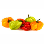 Fresh - Hot Jamaican/Habanero Pepper