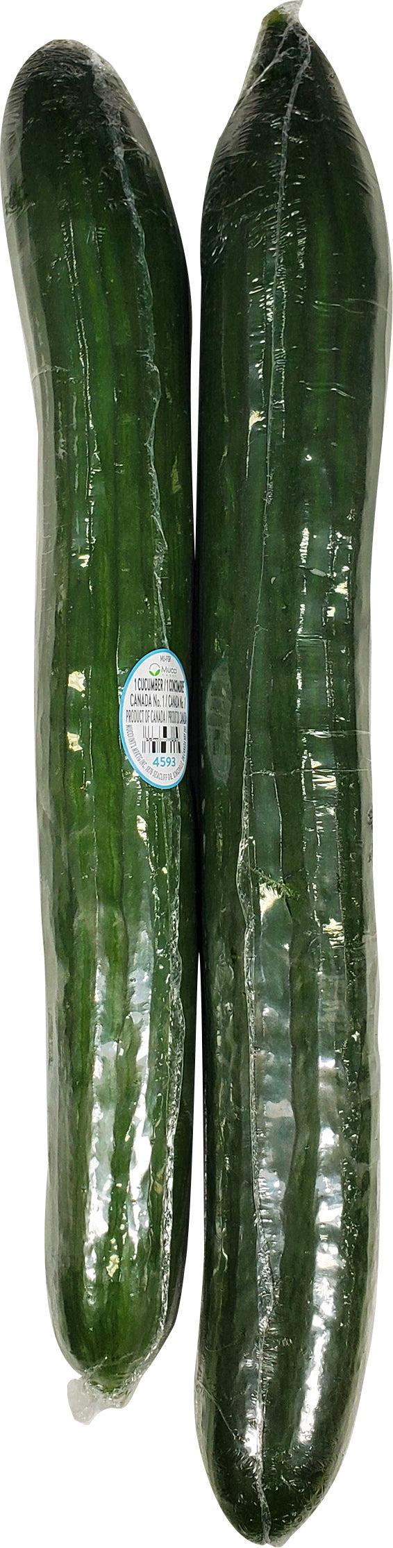 Fresh Cucumber - A2Z Cash N Carry