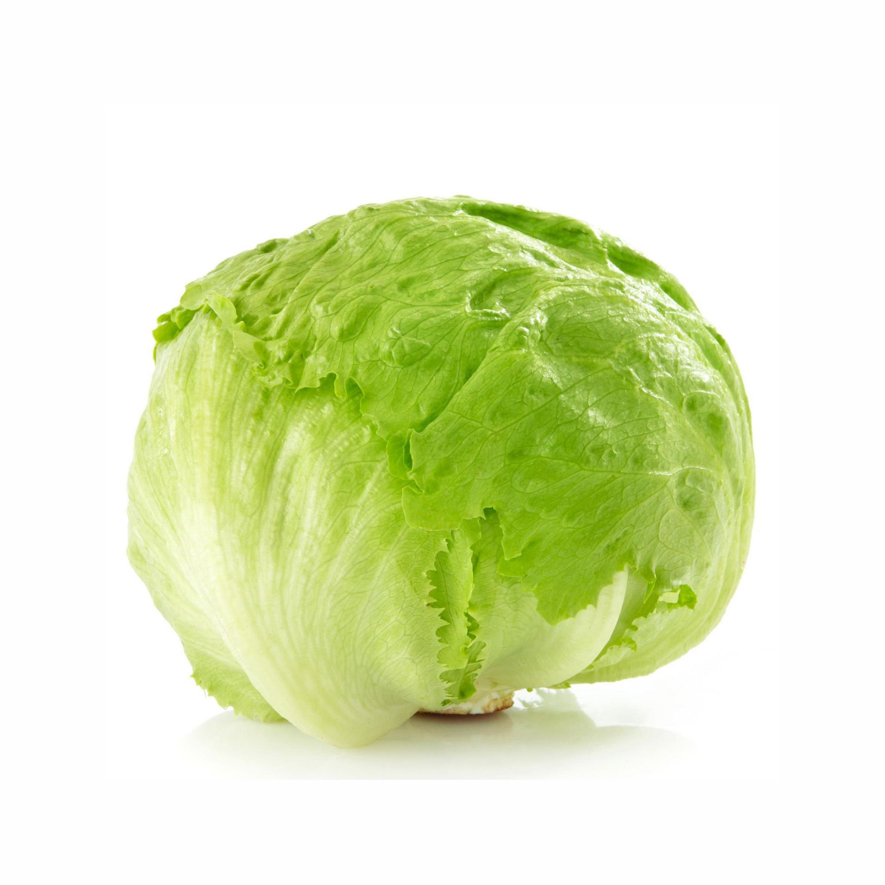 Fresh - Lettuce - Head
