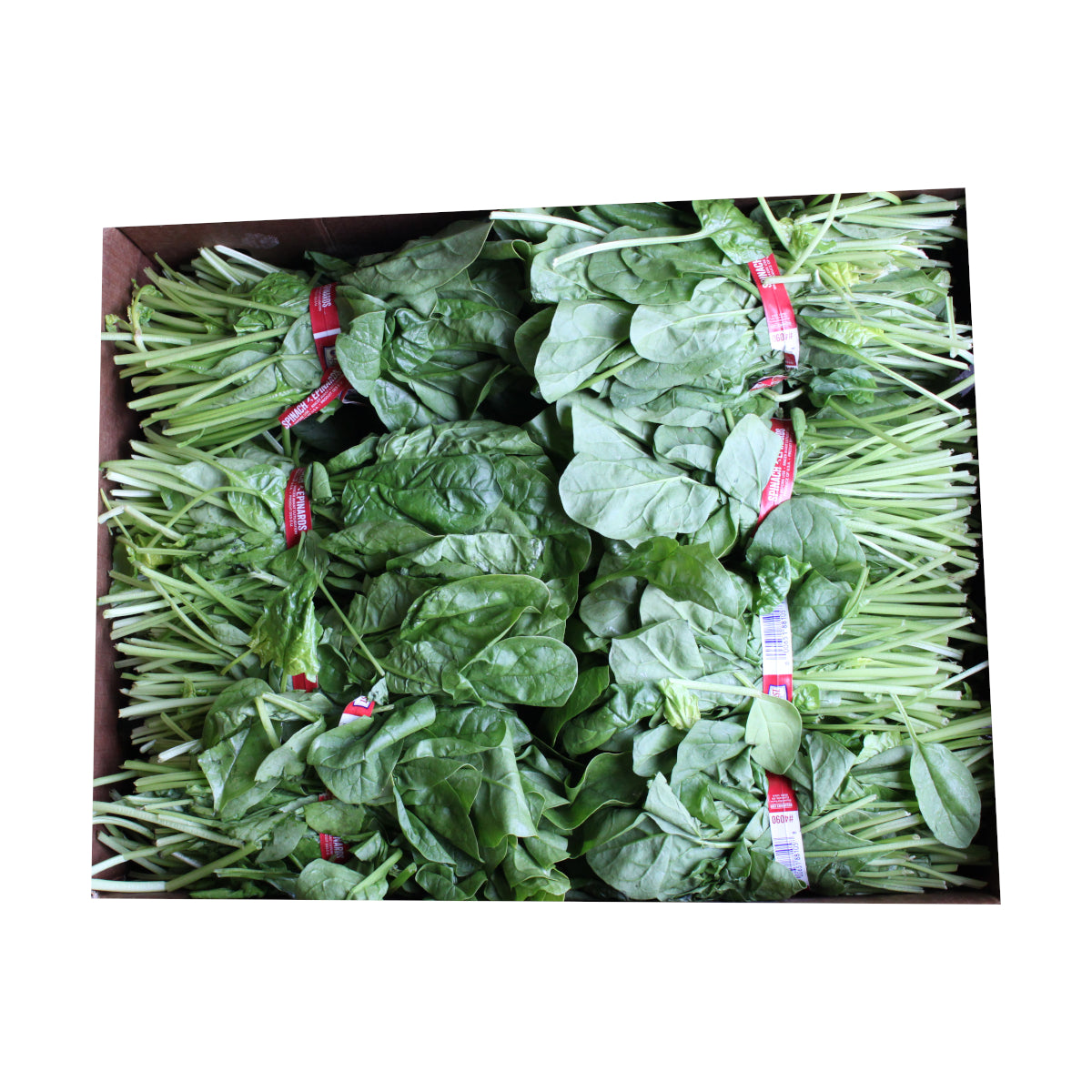 Fresh - Spinach Bunches