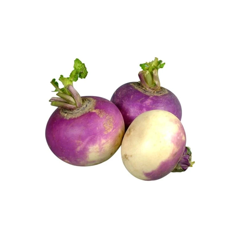 Fresh - Spanish Onion - 25Lb