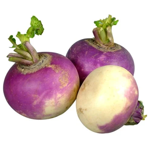 Fresh - Turnip
