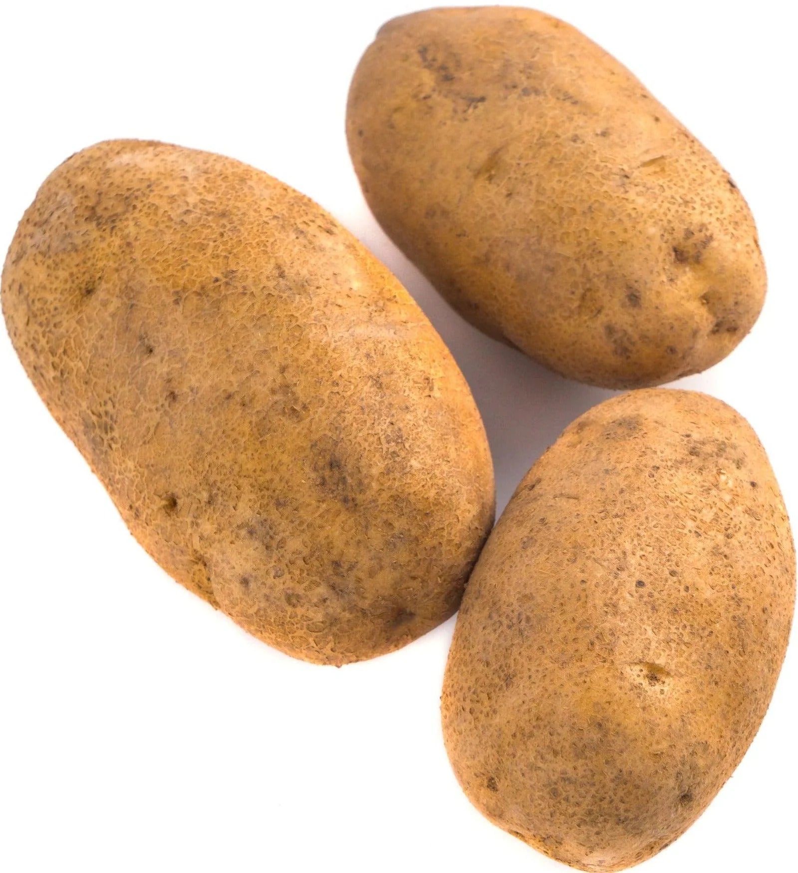 Fresh - Russet Potato - Large