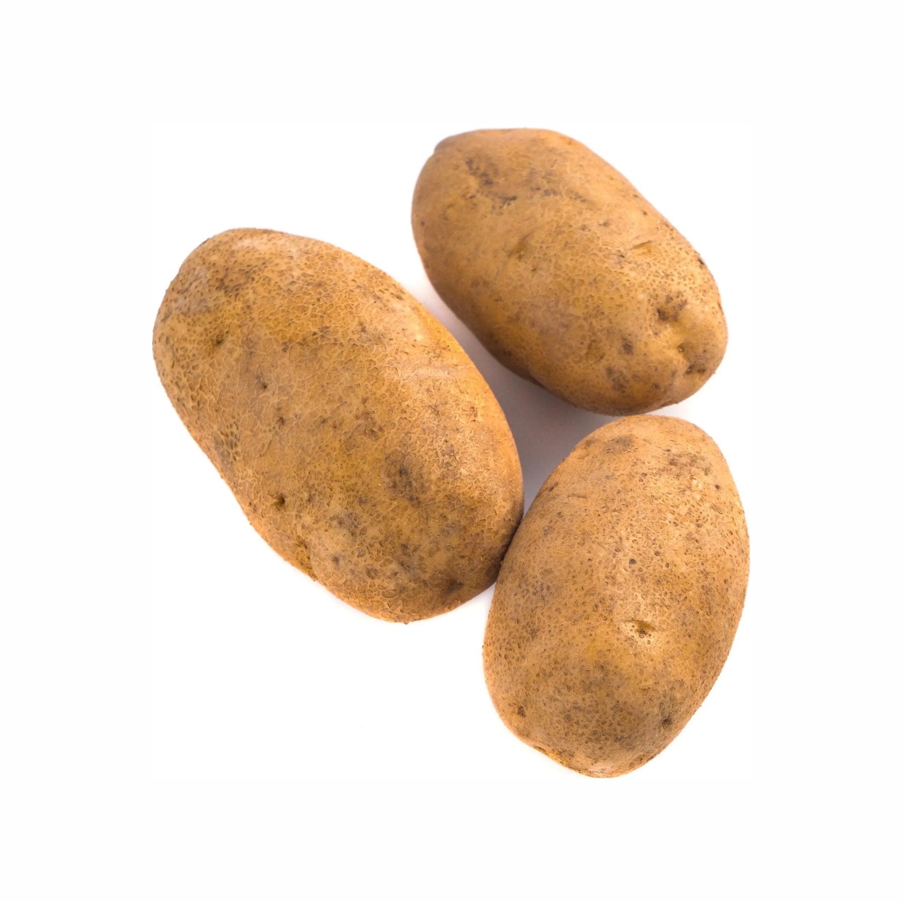 Fresh - Russet Potato - Large