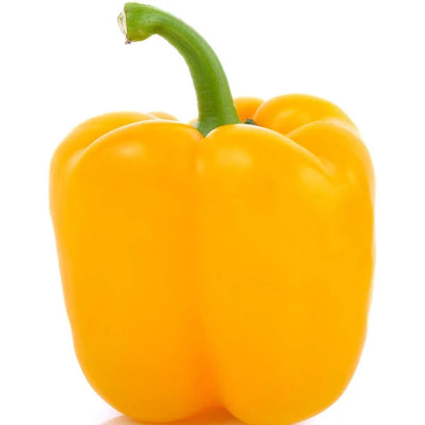 Fresh - Yellow Pepper