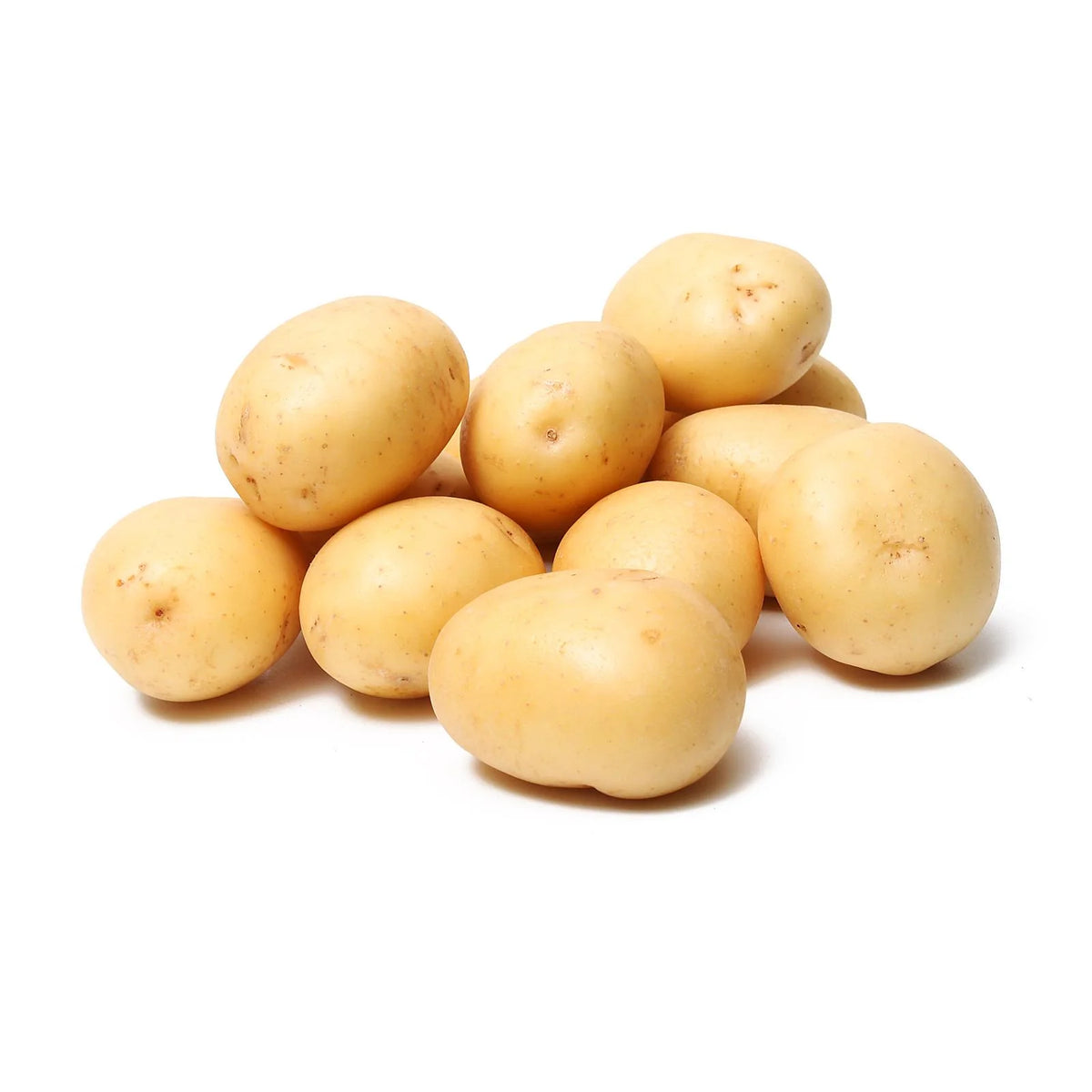 Fresh - White Potato - Large - 10Lb