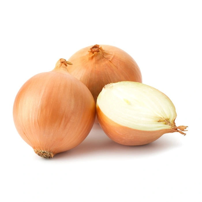 A2Z Cash N Carry Ltd Fresh White Cooking Onion 10 Lb - A2Z Cash N Carry