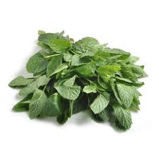 Fresh - Mint