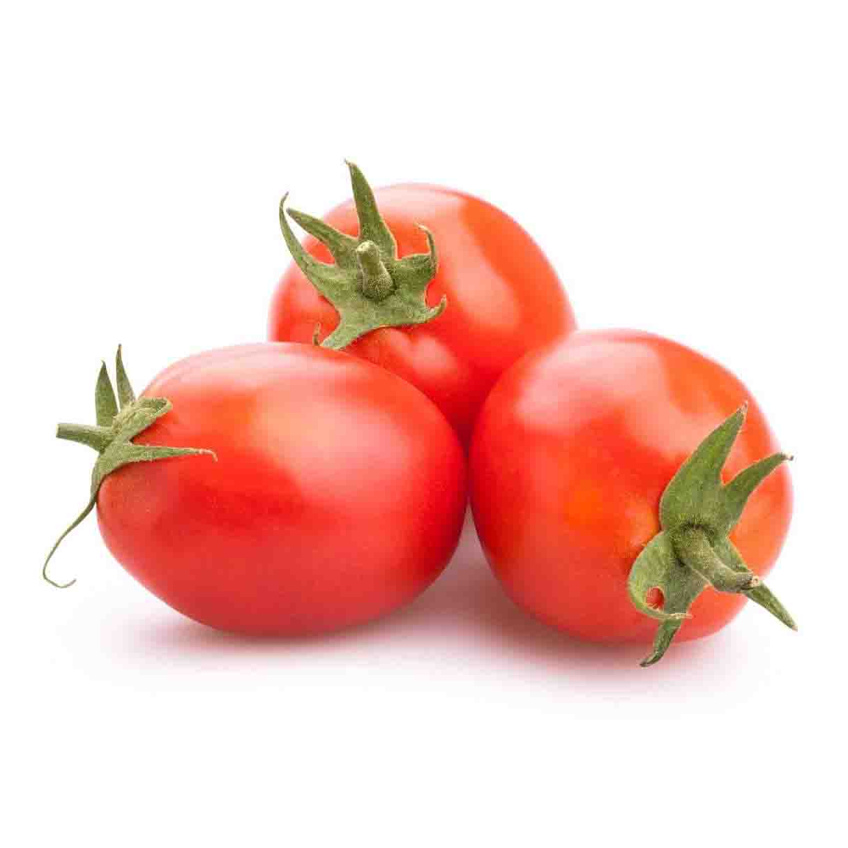 Fresh - Tomato - Roma