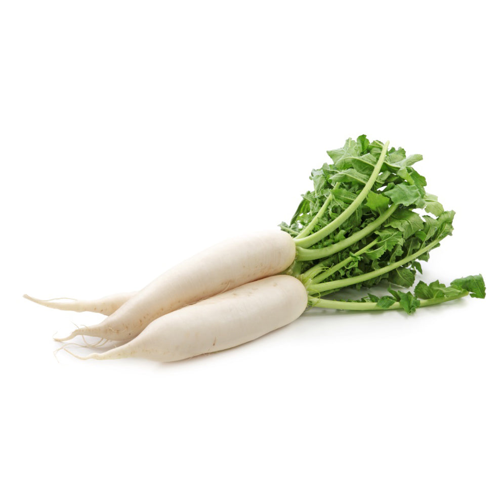 Fresh - Daikon(Radish)