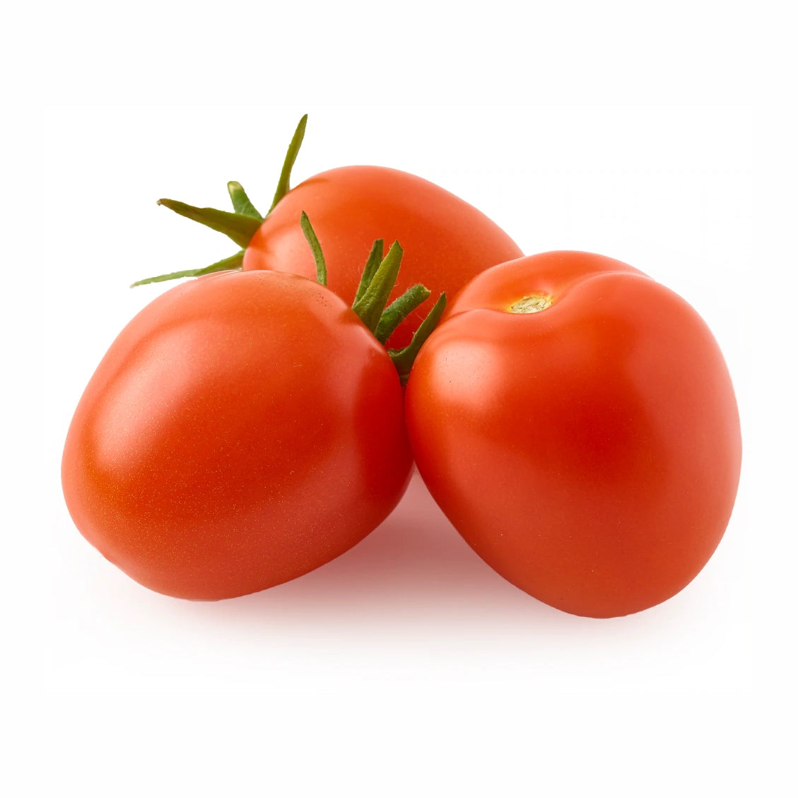 Fresh - Tomato - Roma - 20Lb