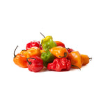 Fresh - Hot Jamaican/Habanero Peppers