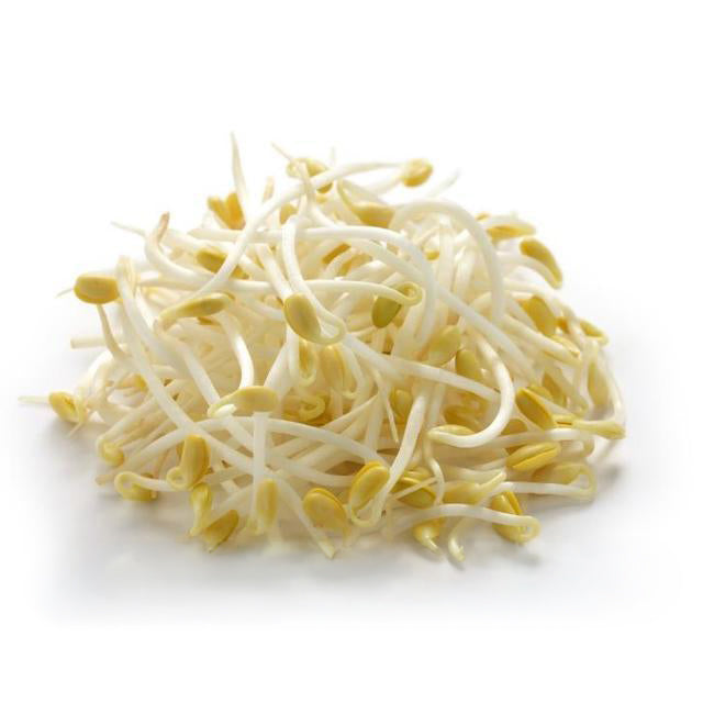 Fresh - Beans Sprout - 25Lb