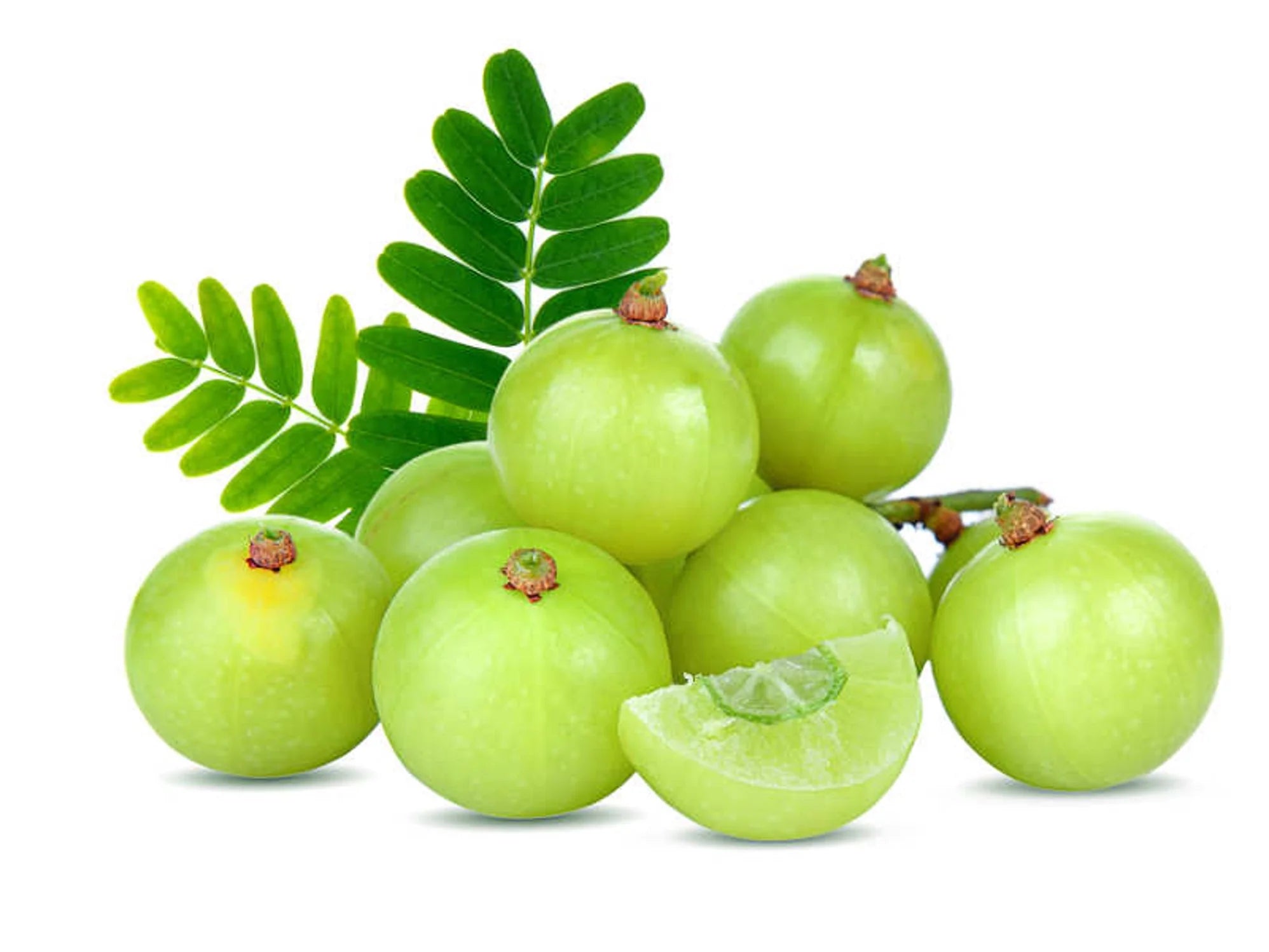 Fresh Amla Indian 1Lb - A2Z Cash N Carry