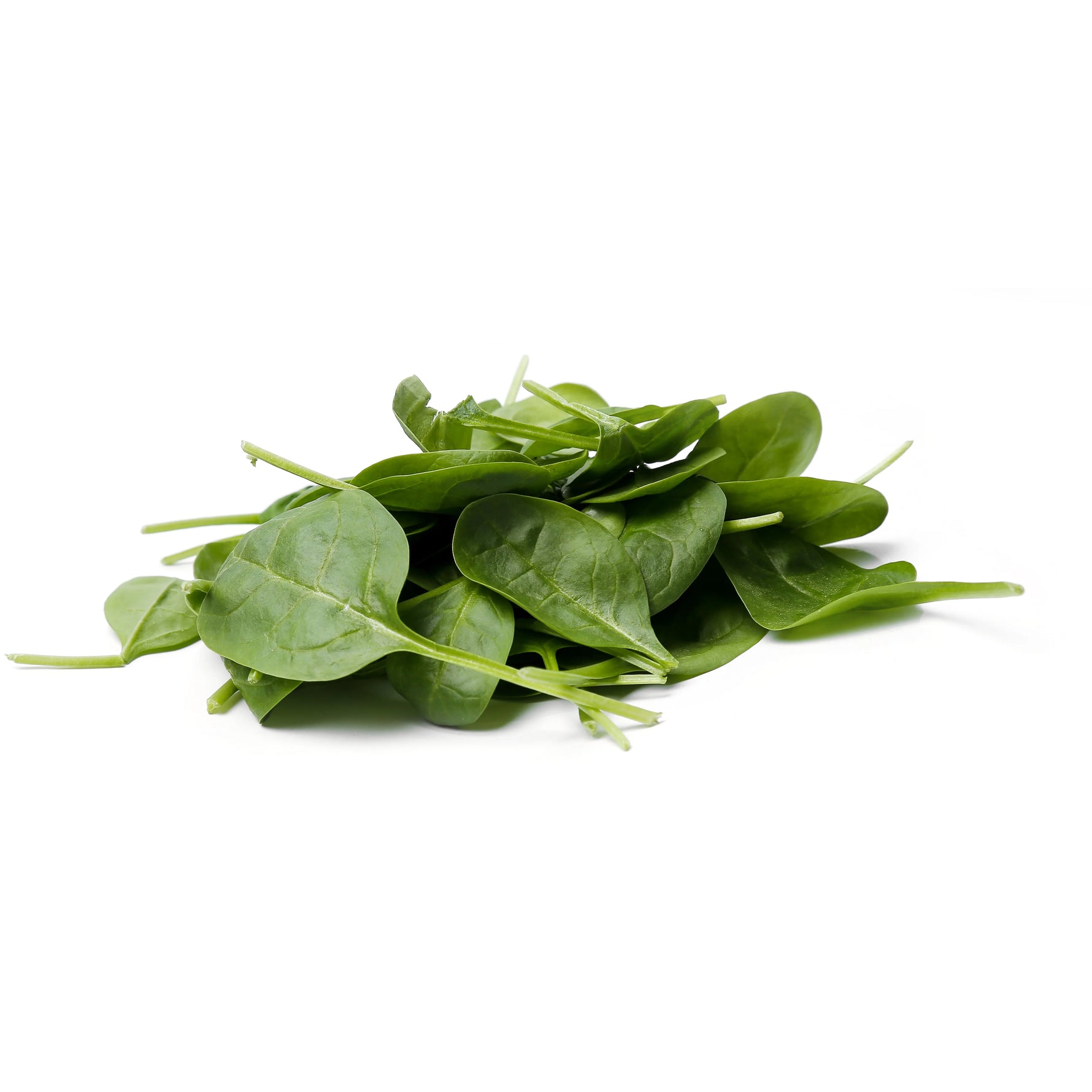 Fresh - Baby Spinach - 2lb