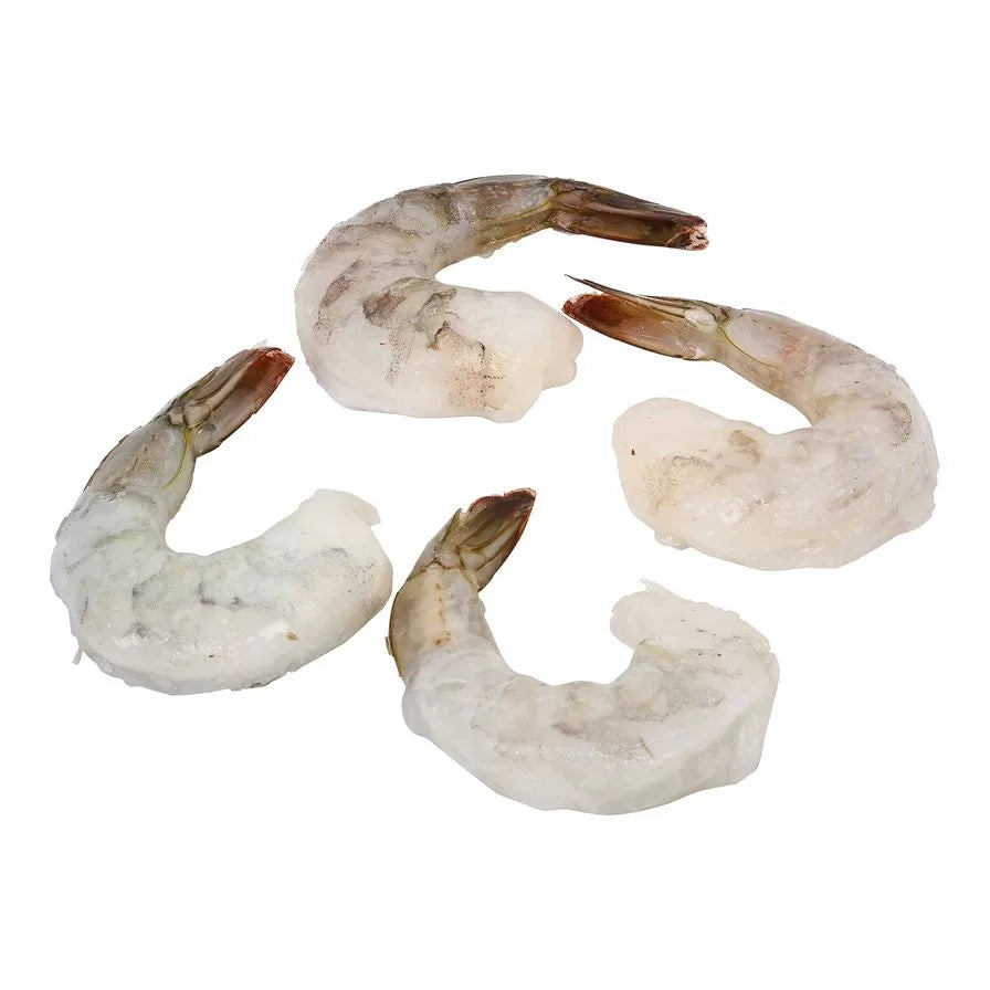 Shrimp 21/25