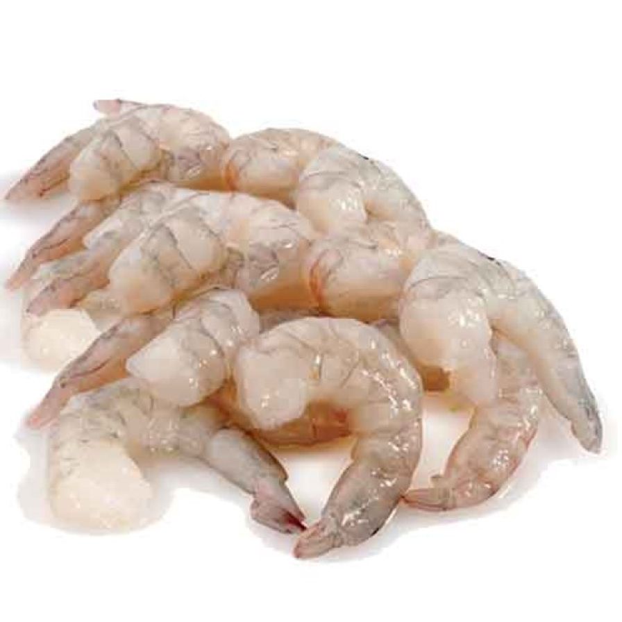 Shrimp - 31/40