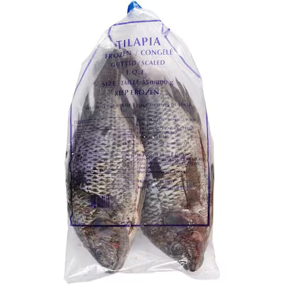 Tilapia Fish Whole