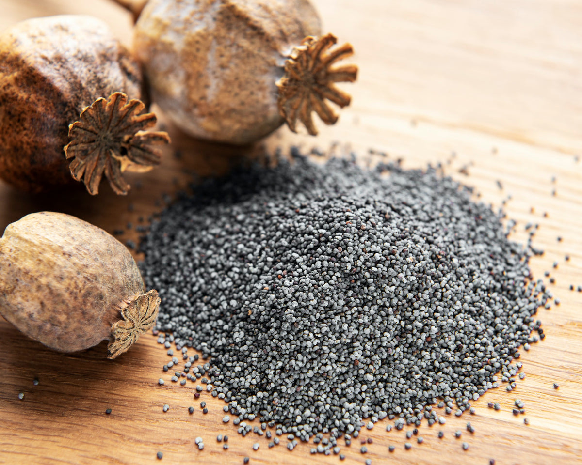 Poppy Seeds - Blue - 5 Lb