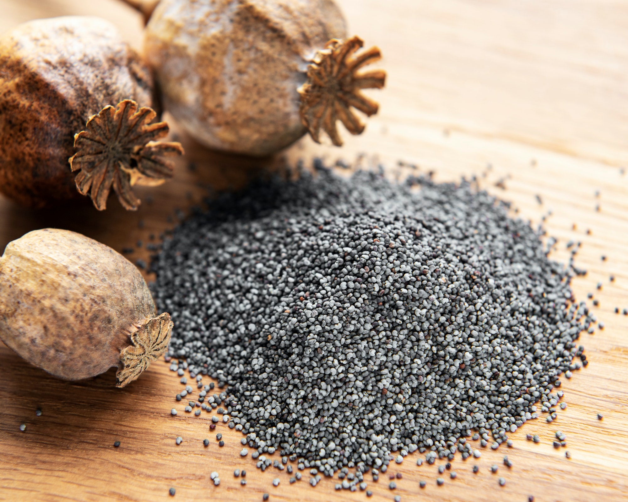 Poppy Seeds - Black - 5 Lb