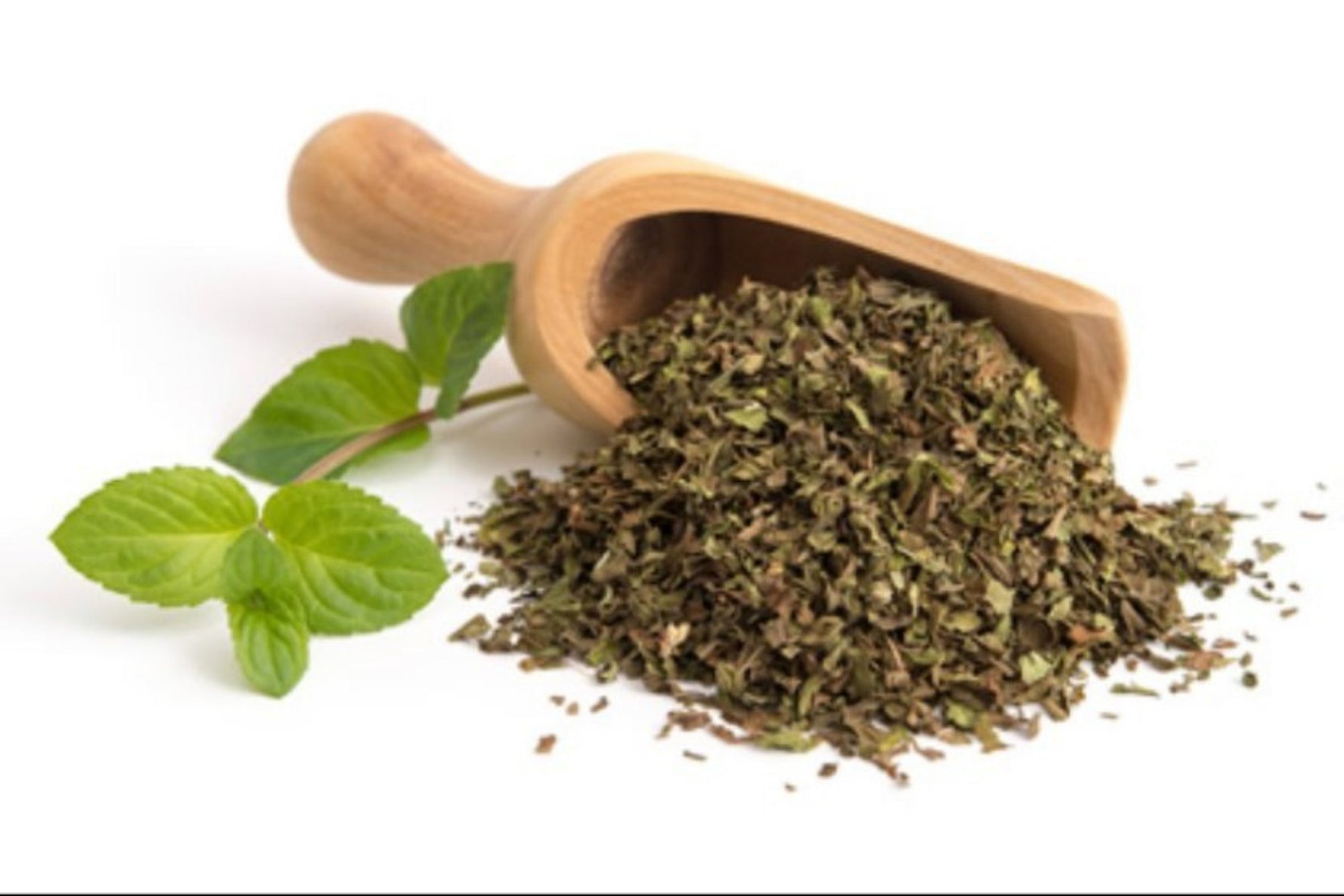 All Seasons - Dry Mint - Rubbed