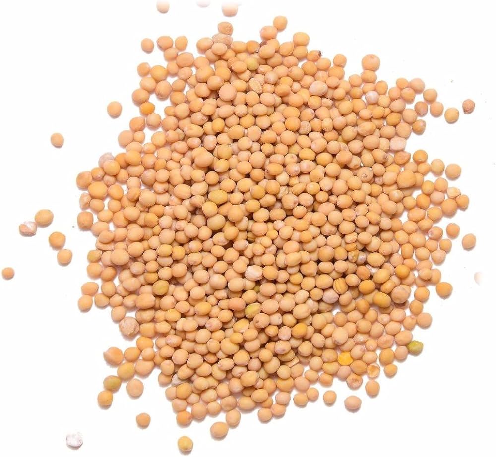Mustard Seeds - Yellow - 55Lb.