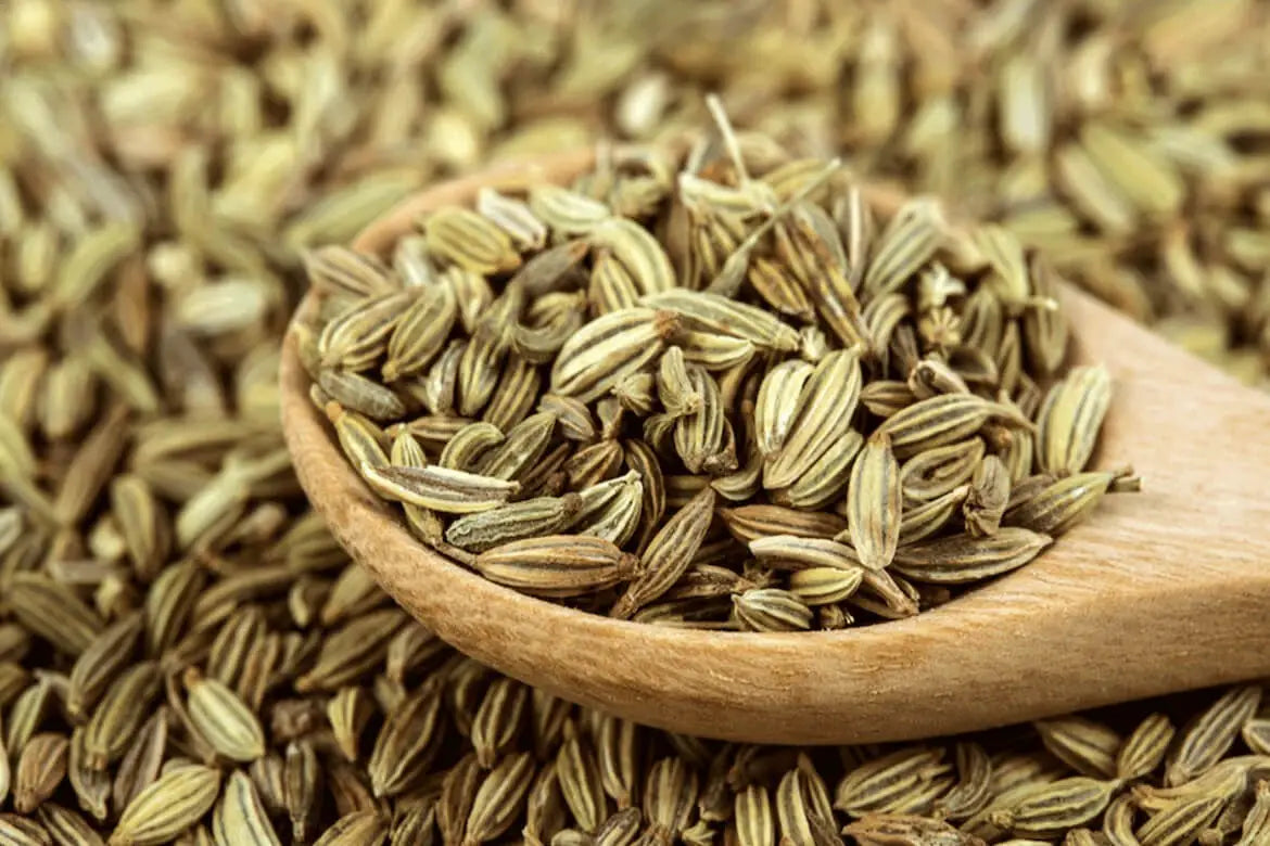 Nikita - Ajwain Seeds