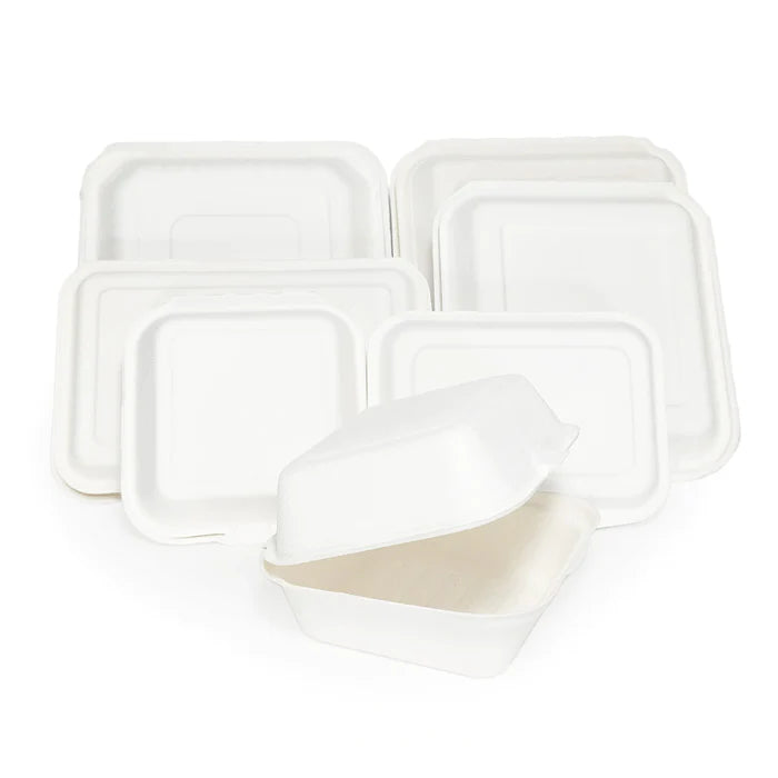 Hinged Foam Container - Sandwich -  22500