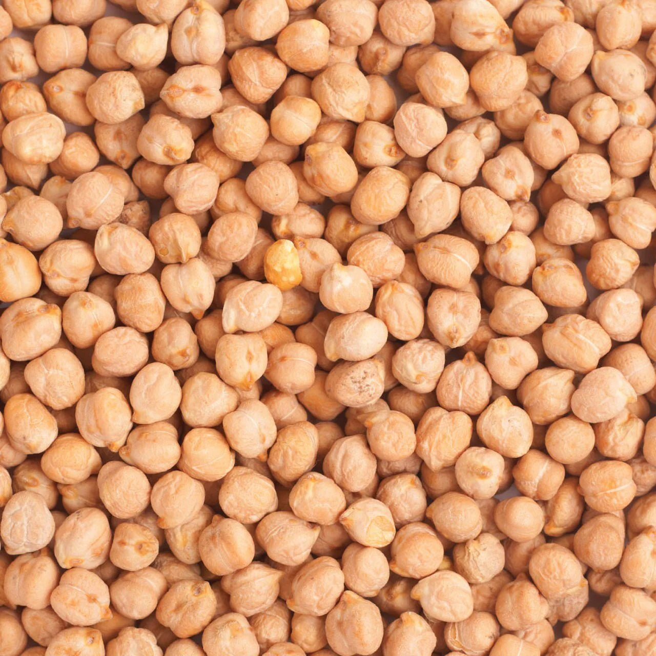 Chick Peas - 9mm